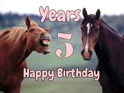 Нам 5 Років!