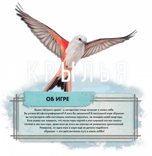 Настольная игра - Настольная игра Крылья: Птицы Европы (Wingspan: European Expansion) дополнение RUS