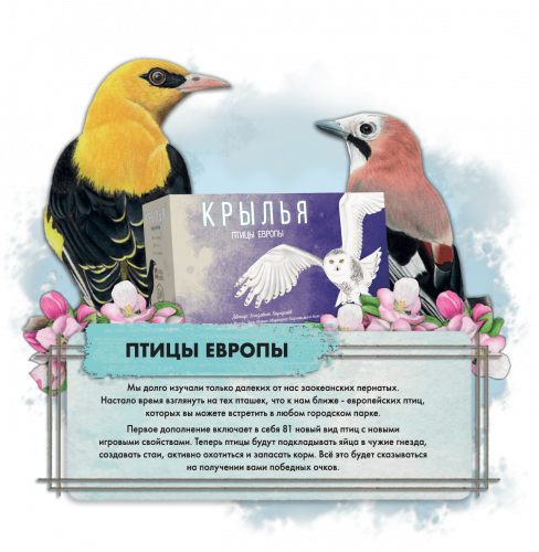 Настольная игра - Настольная игра Крылья: Птицы Европы (Wingspan: European Expansion) дополнение RUS