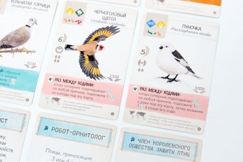 Настольная игра - Настольная игра Крылья: Птицы Европы (Wingspan: European Expansion) дополнение RUS