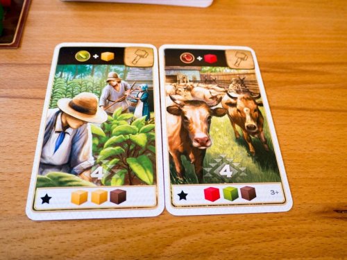 Настольная игра - Настольная игра Століття. Новий світ ENG