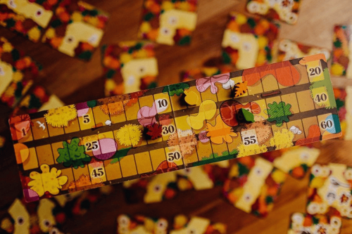 Настольная игра - Настільна гра Савернакський ліс
