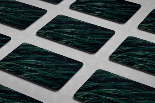 Предзаказы - Гра-практика Вільна