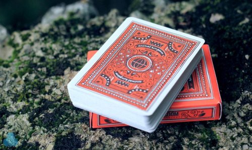 Игральные карты - Гральні Карти Theory11 Animal Kingdom Playing Cards