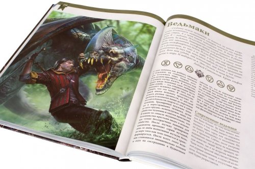 Настольная игра - Настільна гра Відьмак. Настільна рольова гра (The Witcher) Книга